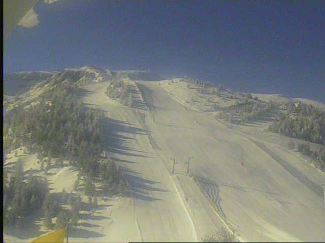http://www.ski-cams.com/buzon/2007-2008/2008-03-06 - 0924 - Masella - cap-del-bosc-tosa-2150m.jpg